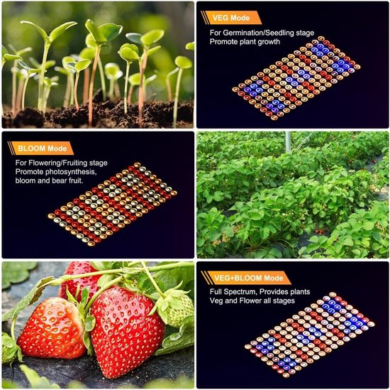 DragonLight BW3000 LED Grow Light Full Spectrum with IR UV Dual LED Chip, 8/12/16H Timer, 3m Cable, Grow Vegetables and Flowers in Greenhouse and Indoor Plants