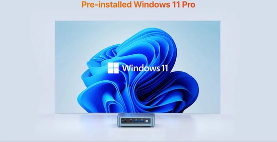 PELADN WI-6 Mini PC Intel Alder Lake N100